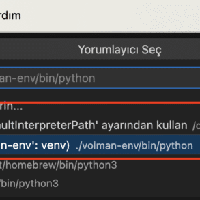 Python venv Kullanımı